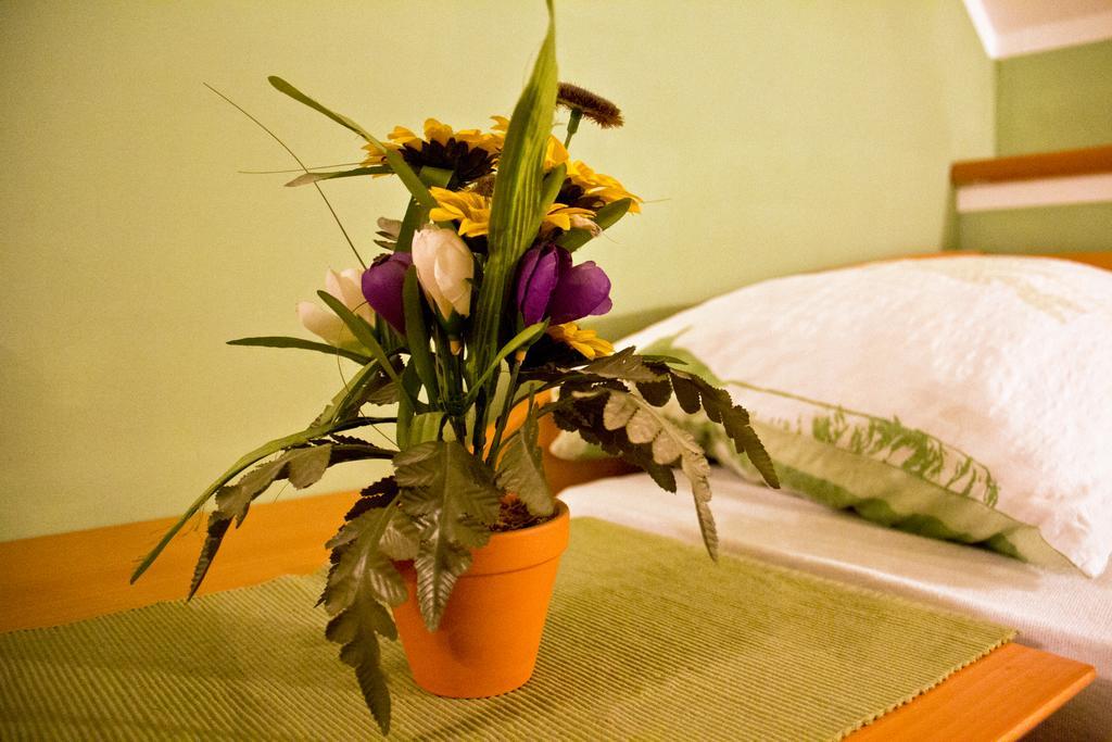 Guesthouse Jug Blato Екстер'єр фото
