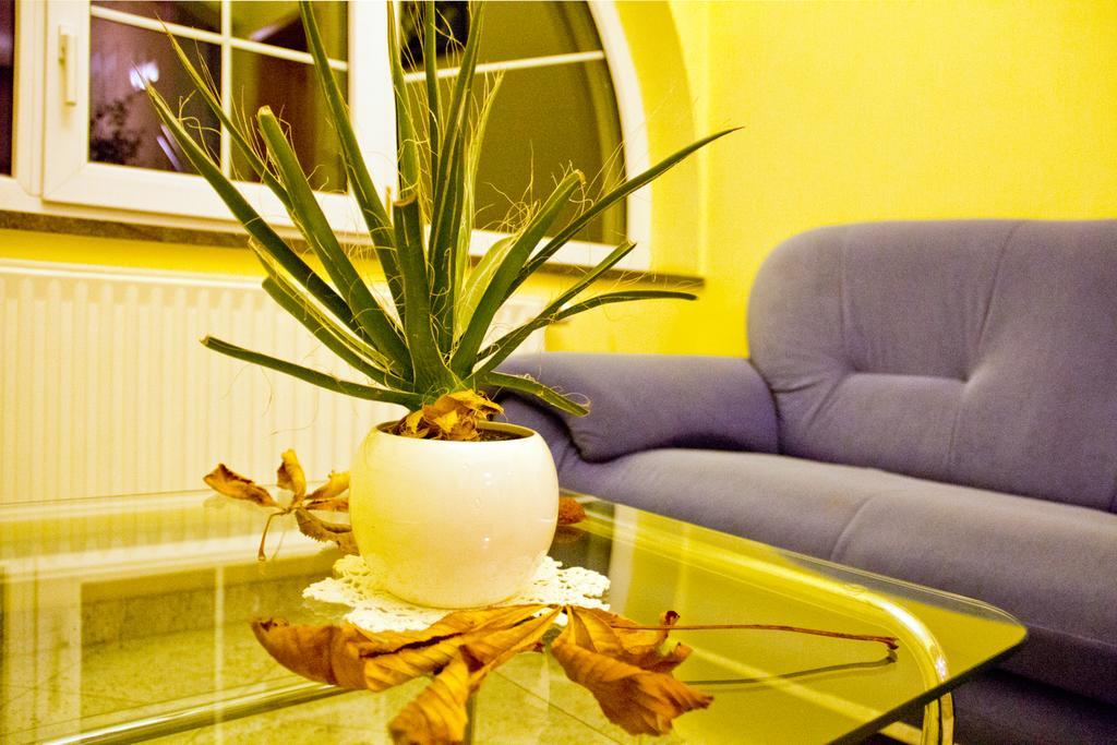 Guesthouse Jug Blato Екстер'єр фото